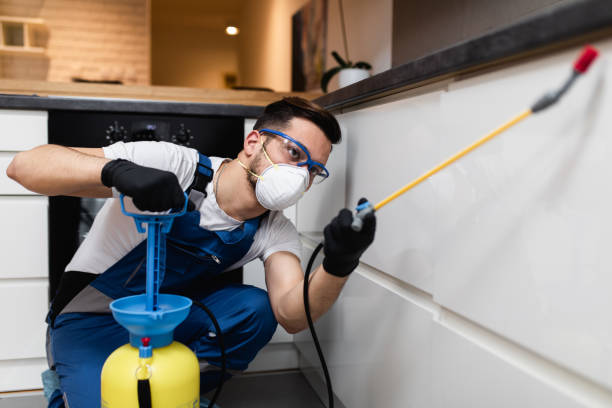 Pest Prevention Services in Limestone, IL