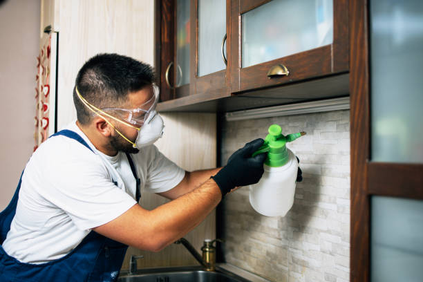 Best Best Pest Control Companies  in Limestone, IL