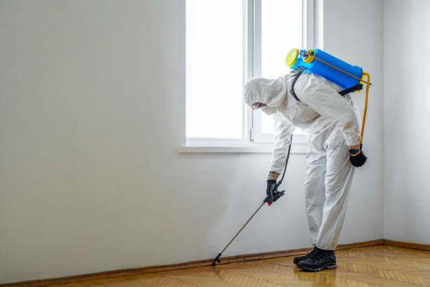 Best Mosquito Control Services  in Limestone, IL
