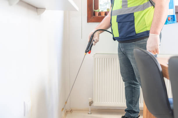 Best Pest Control Near Me  in Limestone, IL