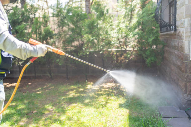 Best Exterminator Services  in Limestone, IL