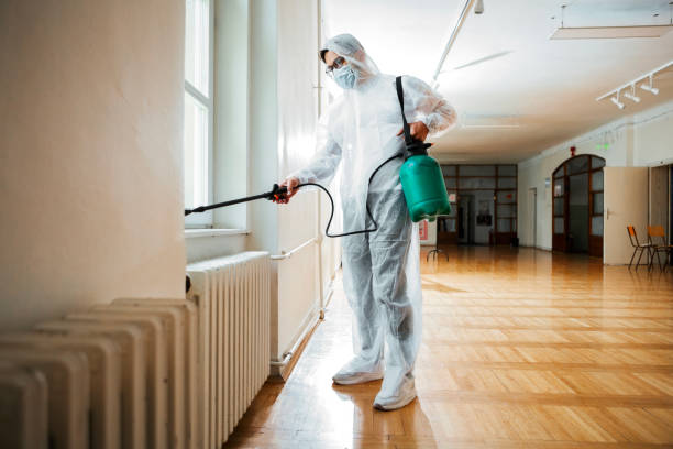 Best Best Pest Control Companies  in Limestone, IL