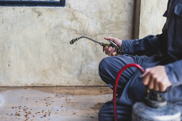 Best Termite Control Services  in Limestone, IL